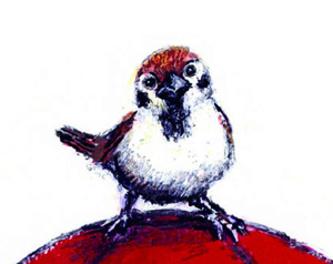 sparrow-chisatotashiro